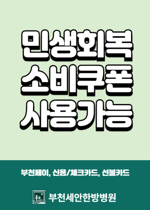 민생회복소비쿠폰